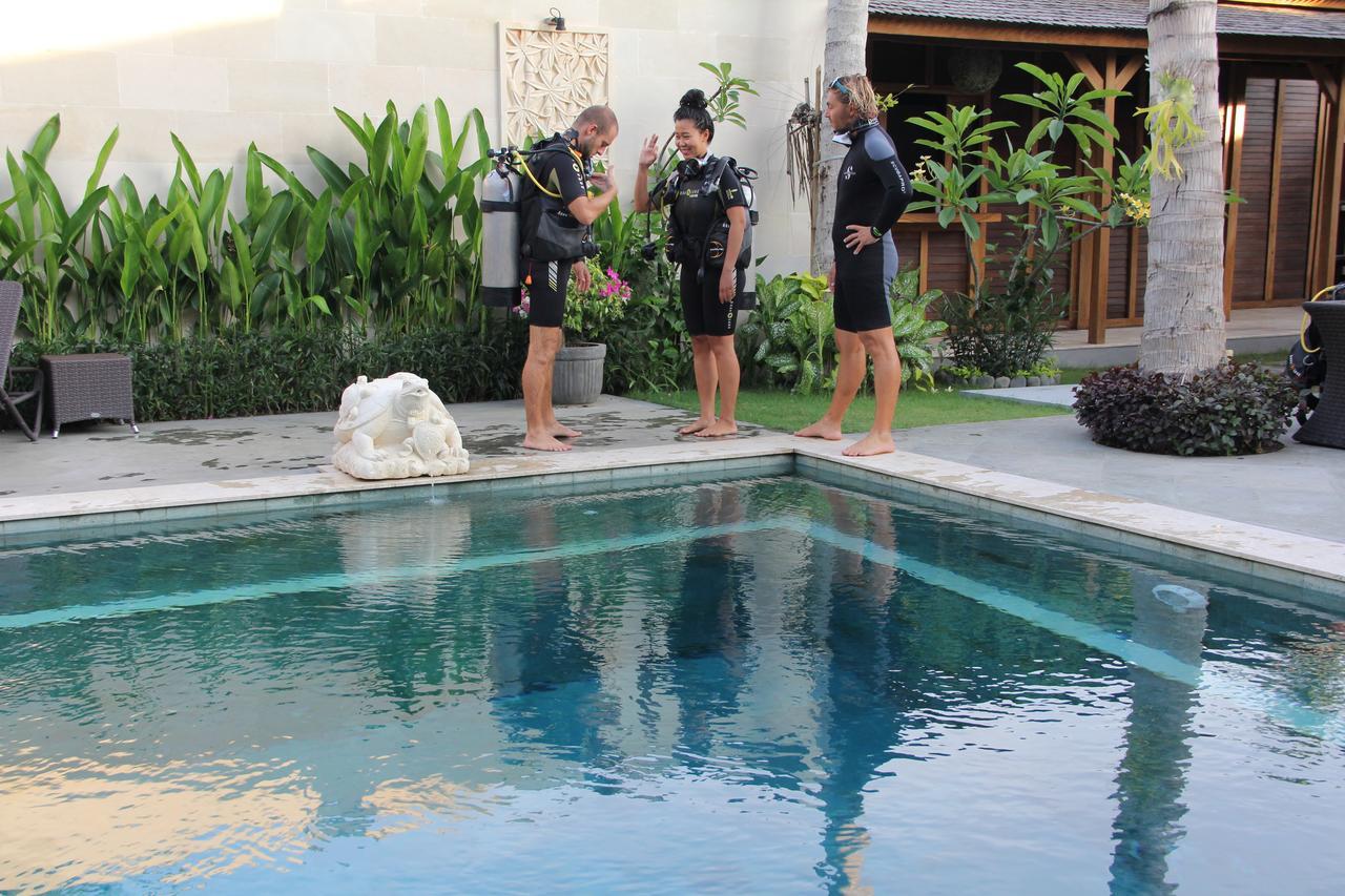 Benthos Bali Dive Candidasa